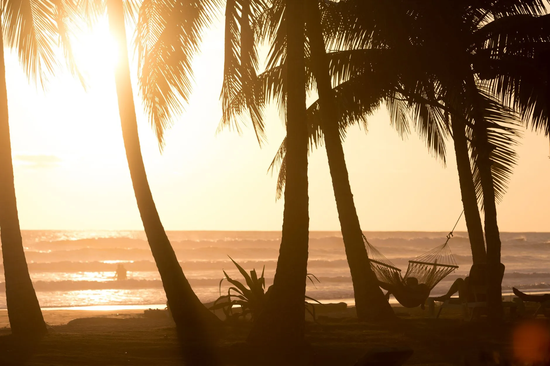 Sunset and a hammock under the palms, Pacific coast of Costa Rica