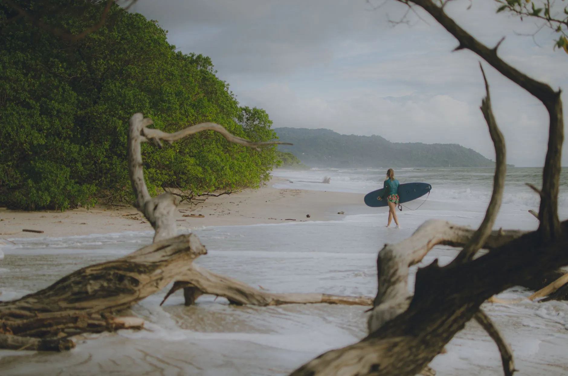 A surfer picks through the driftwood at Playa Tamarindo