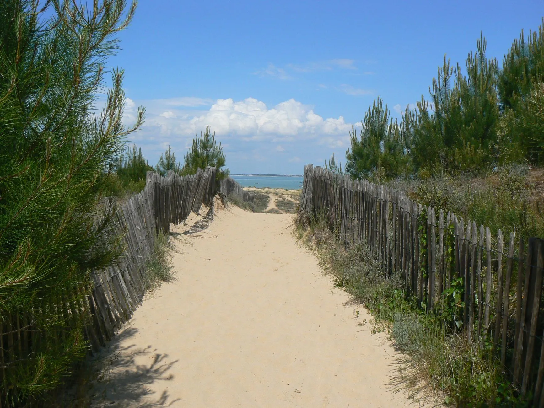 Over the dune: the daily check