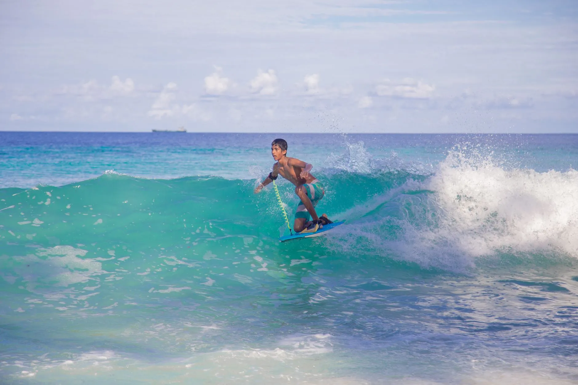 Warm-water walls: it is 29°C in there, every month of the year