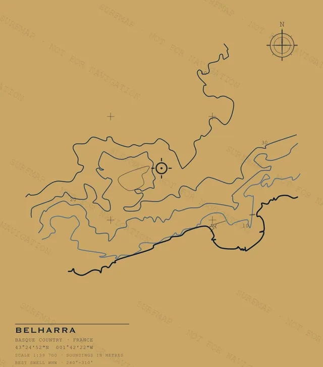 Belharra Open Chart back print in Mustard, watermarked chart view