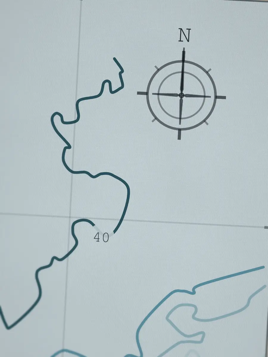 Close-up of the Belharra compass rose, printed into the cotton