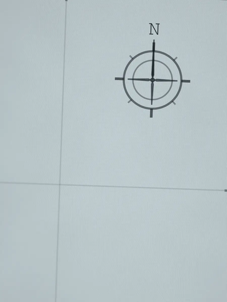 Close-up of the Blacks compass rose, printed into the cotton
