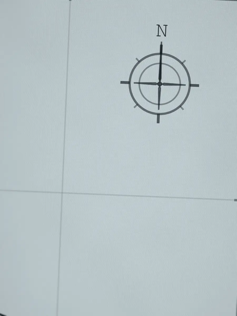 Close-up of the County Line compass rose, printed into the cotton