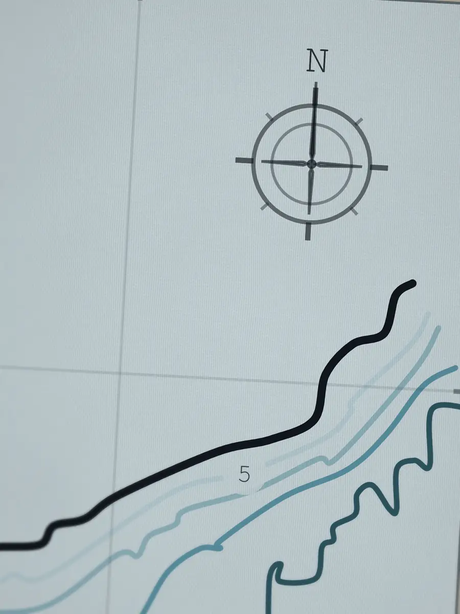 Close-up of the Ditch Plains compass rose, printed into the cotton