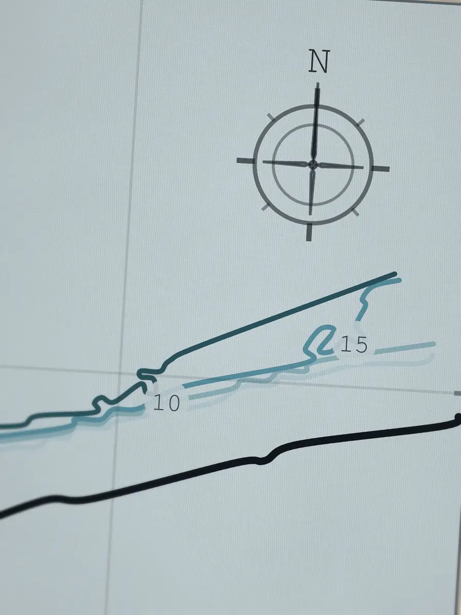 Close-up of the Domes compass rose, printed into the cotton