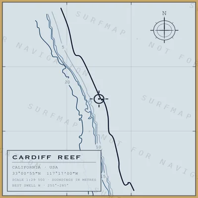 Cardiff Reef