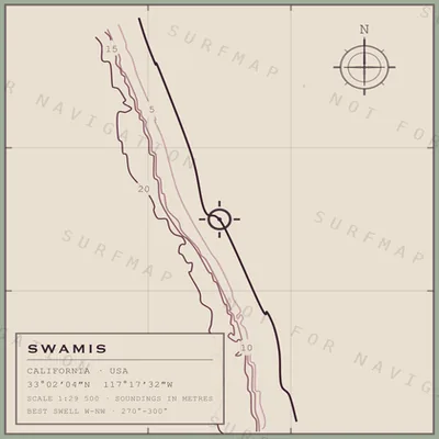 Swamis