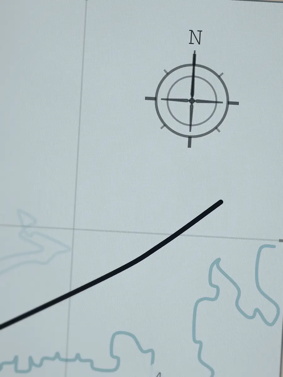 Close-up of the Folly Beach compass rose, printed into the cotton
