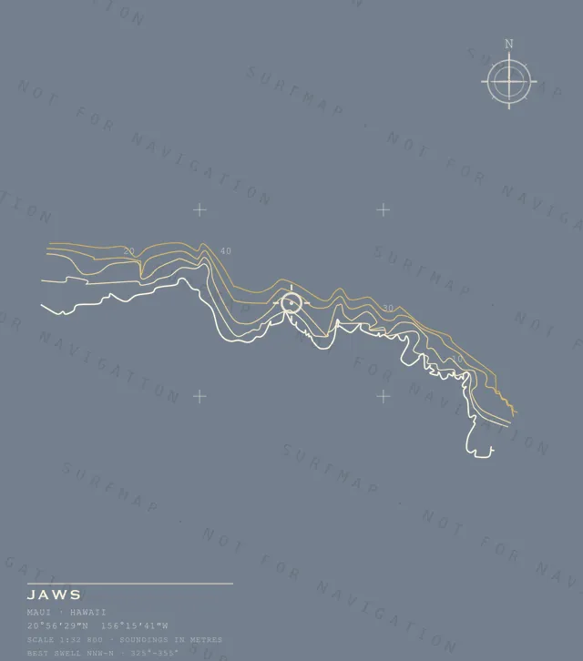 Jaws chart, the full artwork printed on the back