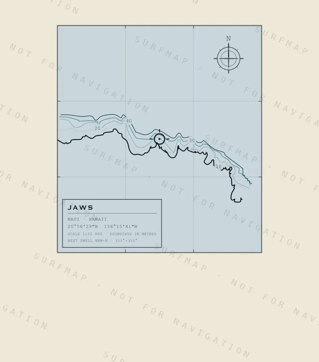 背中にプリントされるJawsの海図の全体