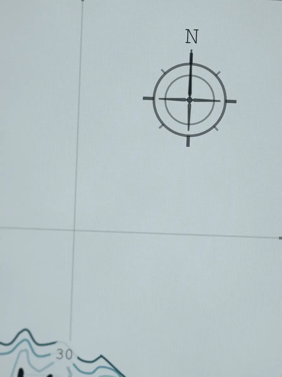 Close-up of the Jaws compass rose, printed into the cotton