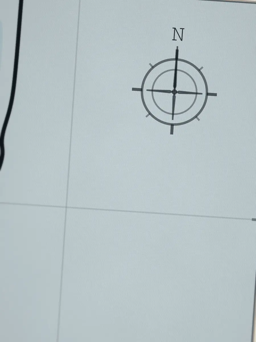 Close-up of the La Piste compass rose, printed into the cotton