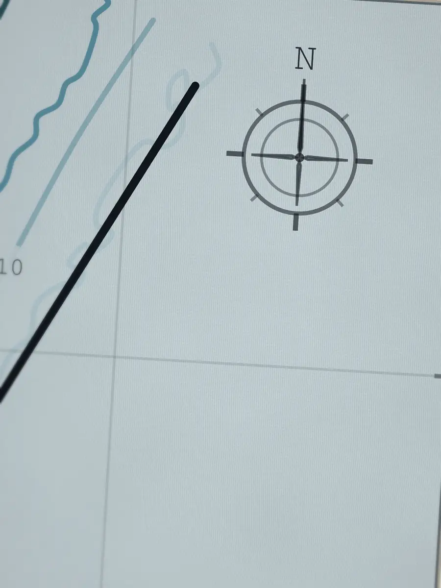 Close-up of the Les Cavaliers compass rose, printed into the cotton