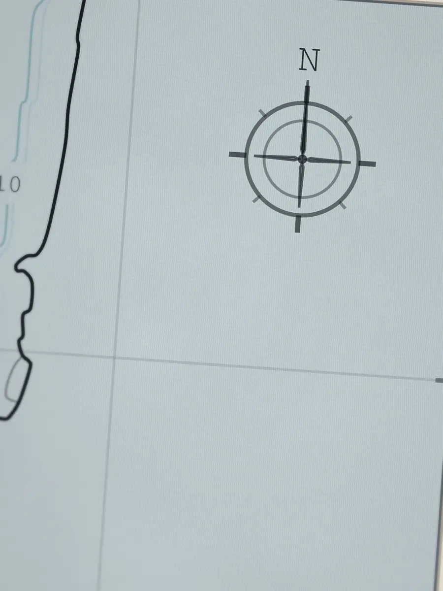 Gros plan sur la rose des vents de Linda Mar, imprimée dans le coton