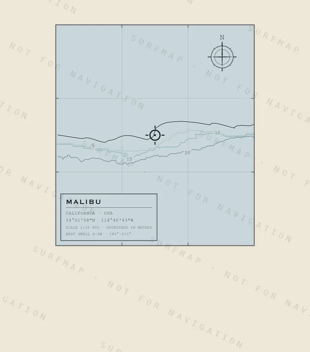 Carta di Malibu, l’illustrazione completa stampata sulla schiena