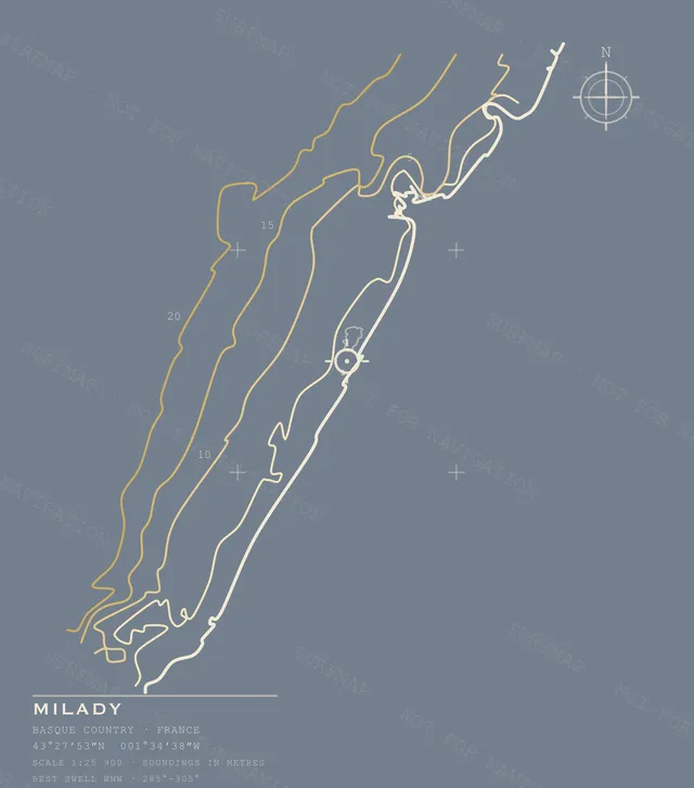 Milady Open Chart back print in Blue Jean, watermarked chart view