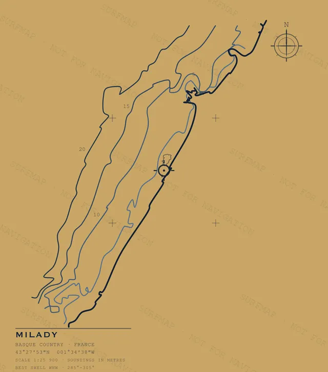 Milady Open Chart back print in Mustard, watermarked chart view