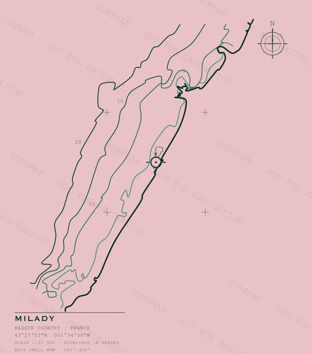 Milady Open Chart back print in Blossom, watermarked chart view
