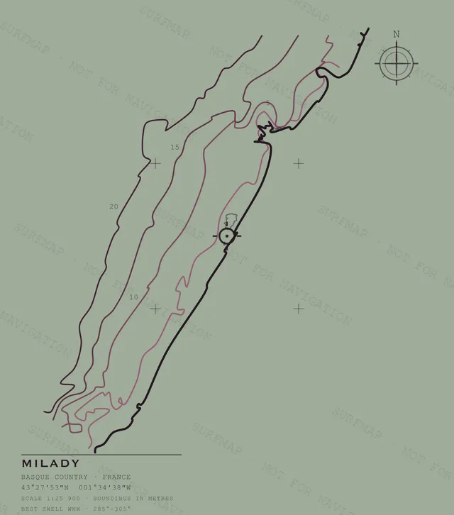 Milady Open Chart back print in Bay, watermarked chart view