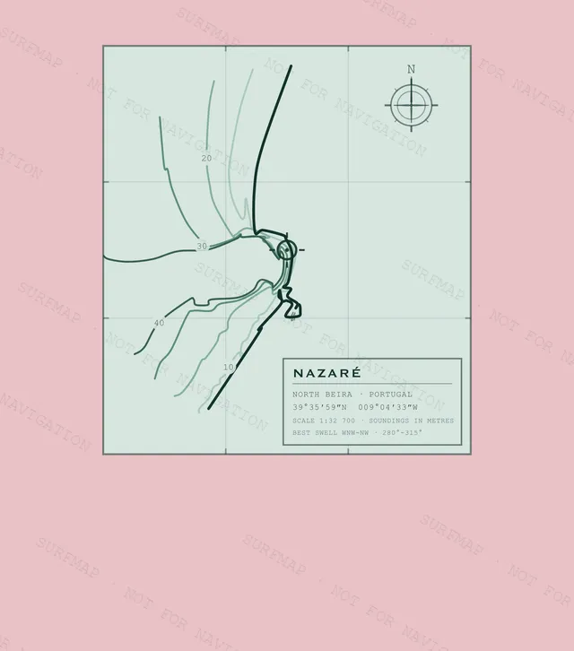 Nazaré Working Chart back print in Blossom, watermarked chart view