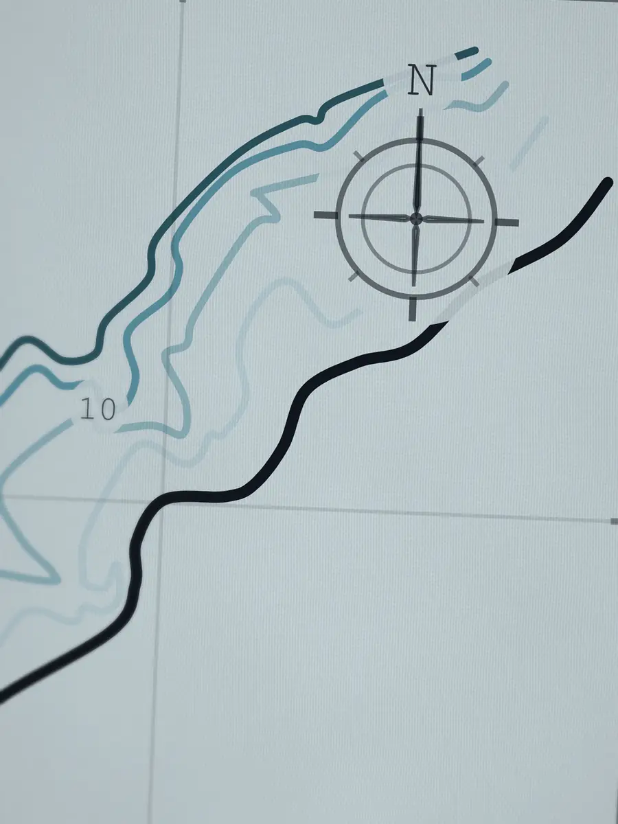 Close-up of the Pipeline compass rose, printed into the cotton