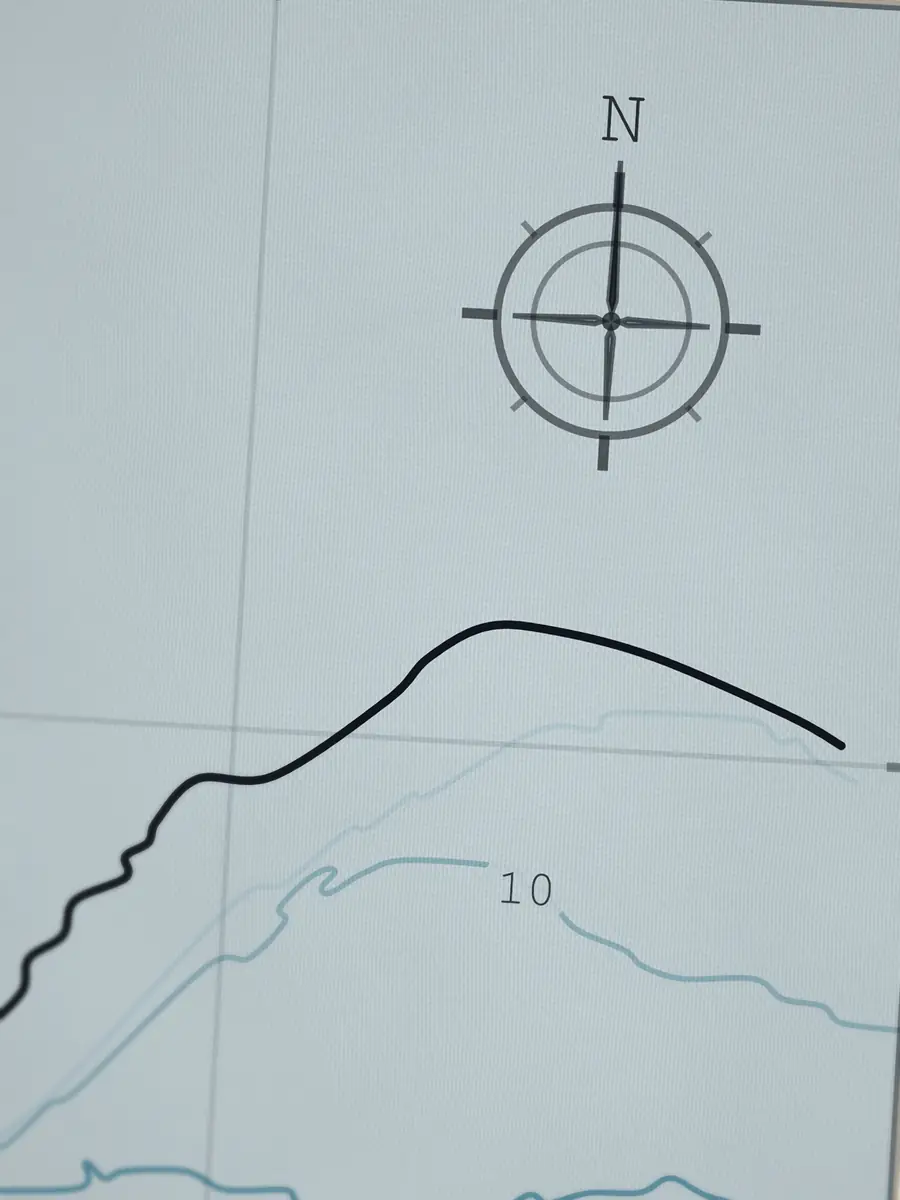 Close-up of the Pleasure Point compass rose, printed into the cotton
