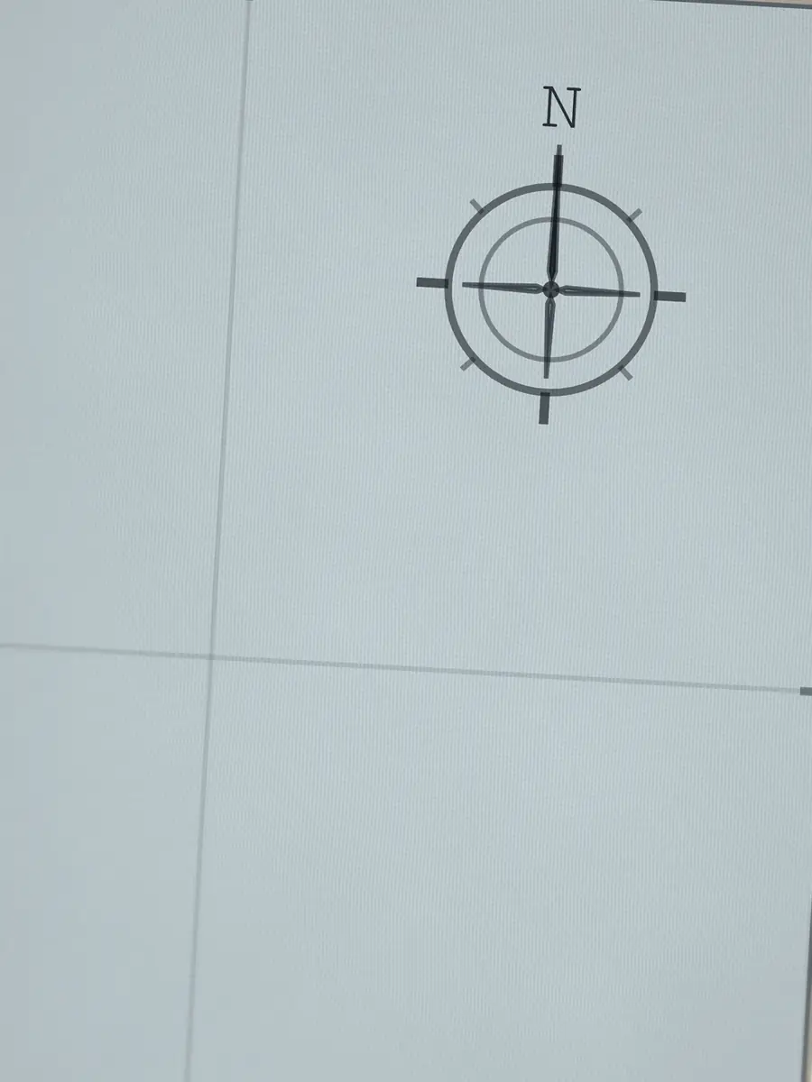 Close-up of the Queens compass rose, printed into the cotton