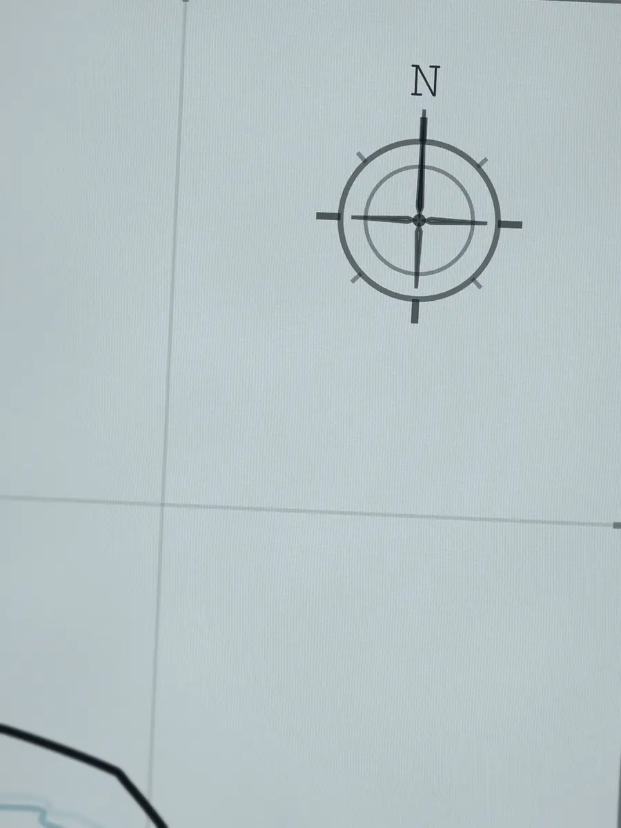 Close-up of the Rincon compass rose, printed into the cotton