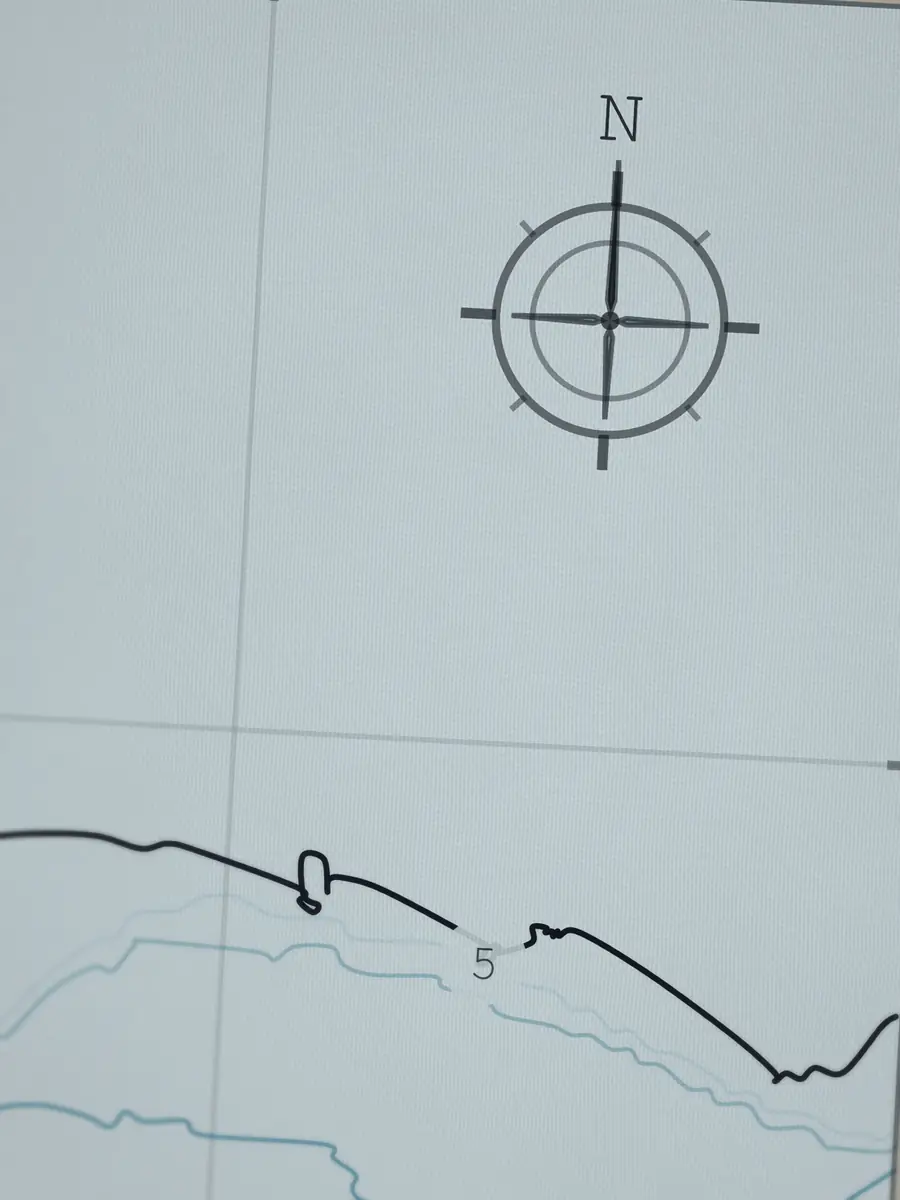Close-up of the Steamer Lane compass rose, printed into the cotton
