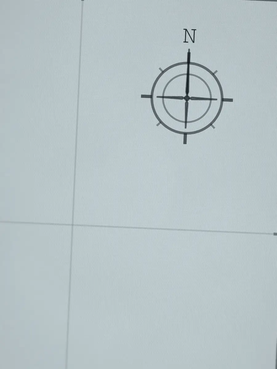 Close-up of the Swamis compass rose, printed into the cotton