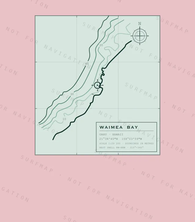 背中にプリントされるWaimea Bayの海図の全体